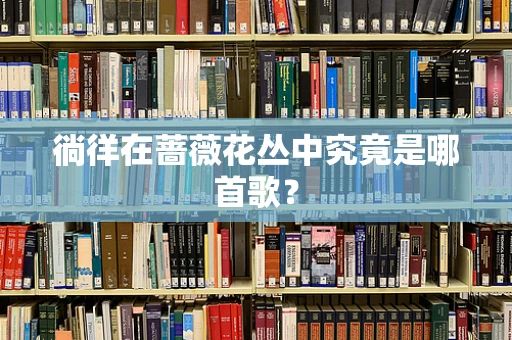 徜徉在蔷薇花丛中究竟是哪首歌？